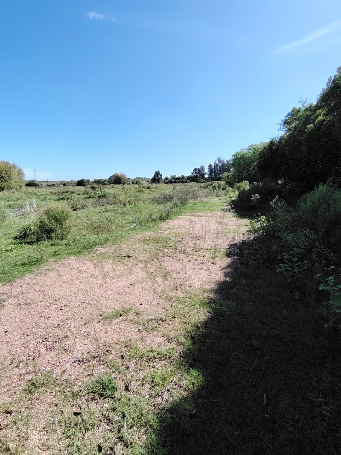 Terreno en alquiler de 60000m2 ubicado en Manga · Foto 6
