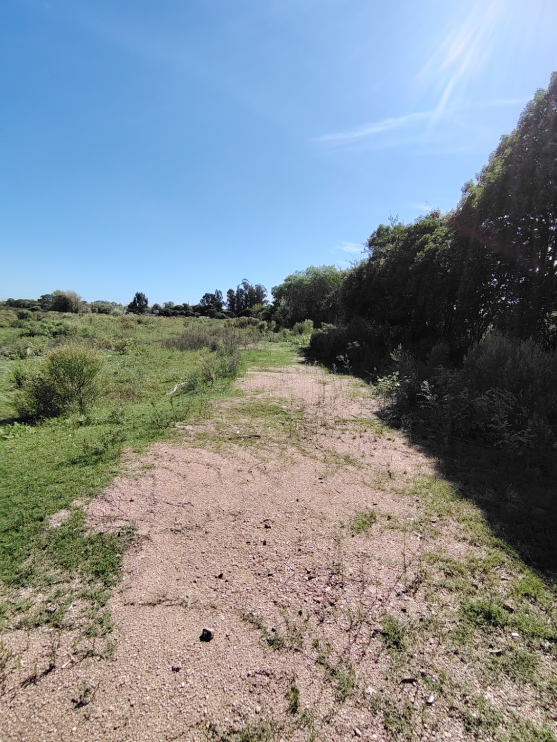 Terreno en alquiler de 60000m2 ubicado en Manga · Foto 4