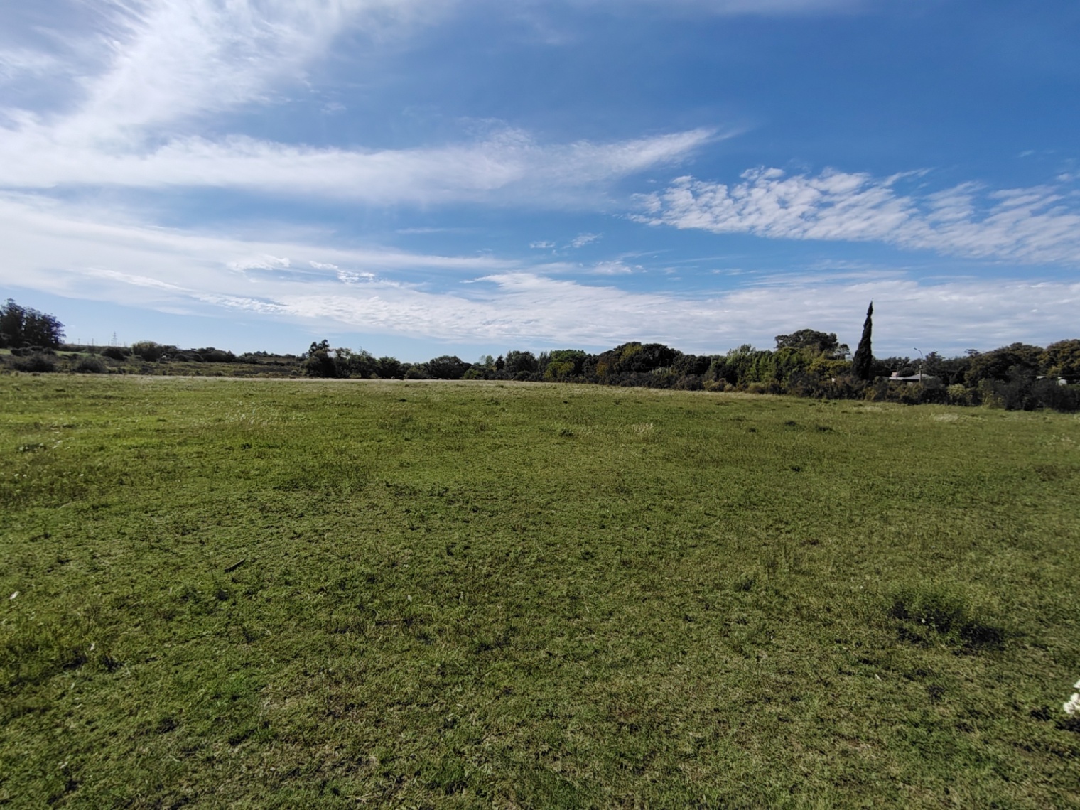 Terreno en alquiler de 60000m2 ubicado en Manga · Foto 7