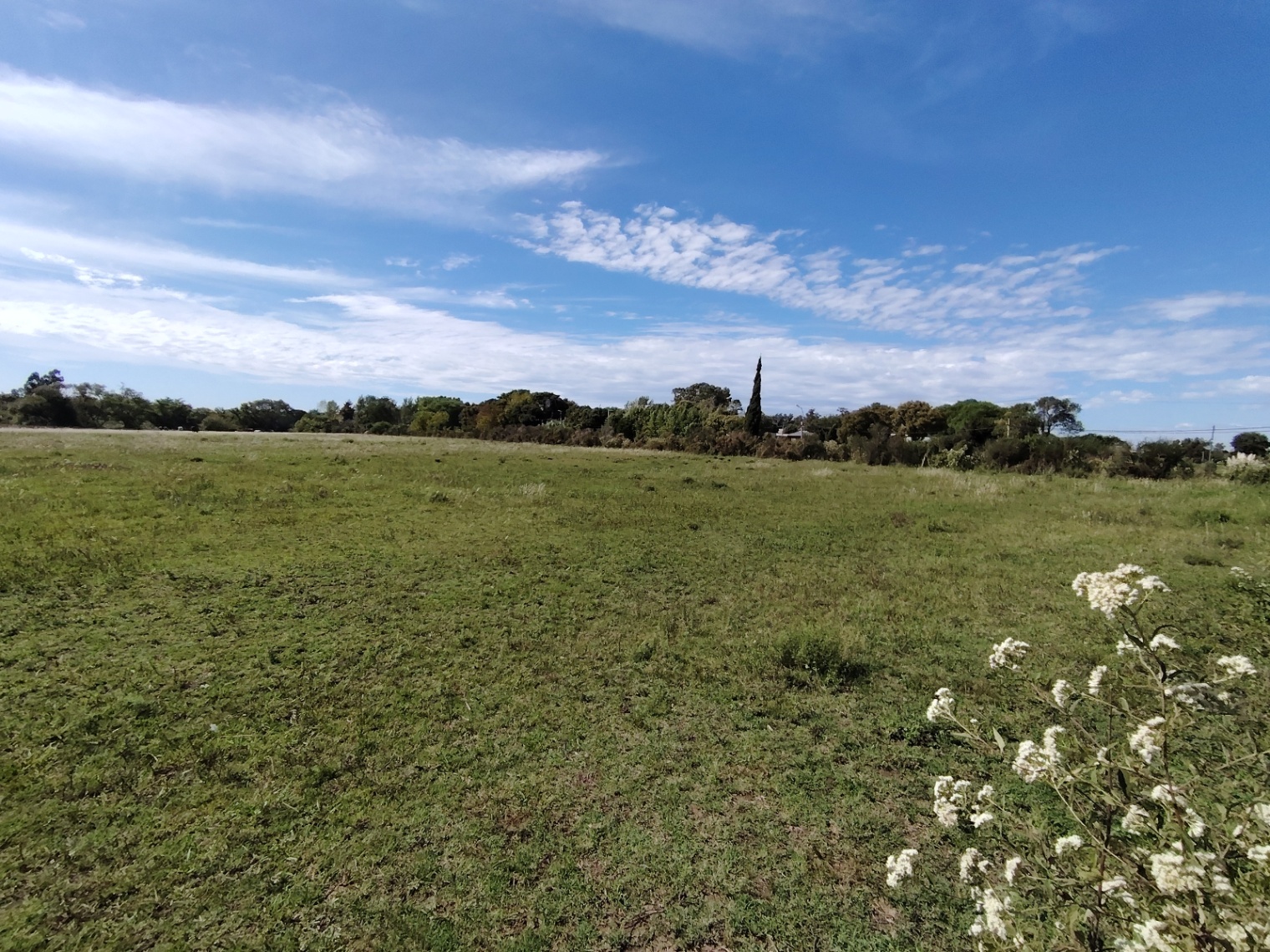 Terreno en alquiler de 60000m2 ubicado en Manga · Foto 8