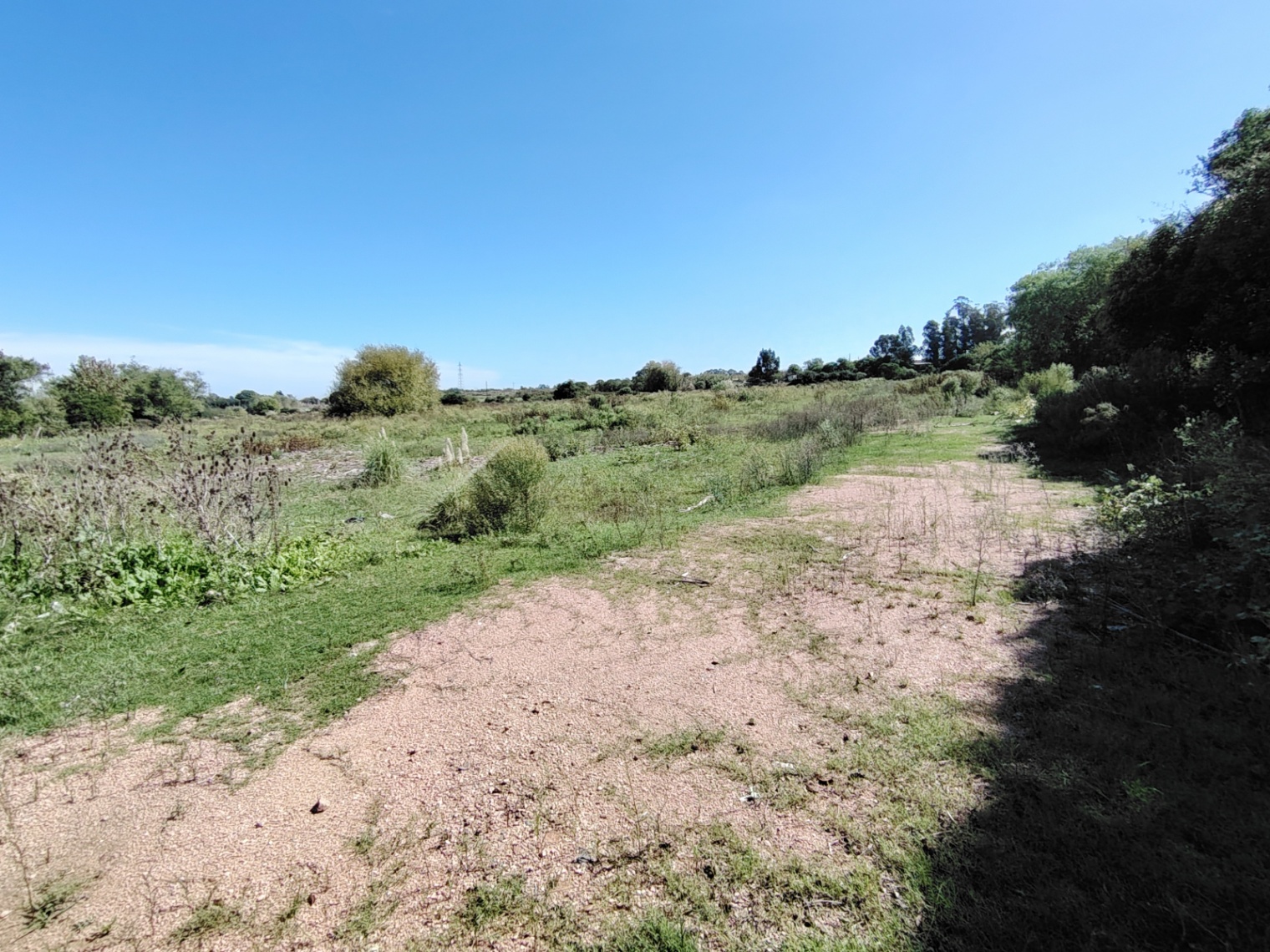 Terreno en alquiler de 60000m2 ubicado en Manga · Foto 5