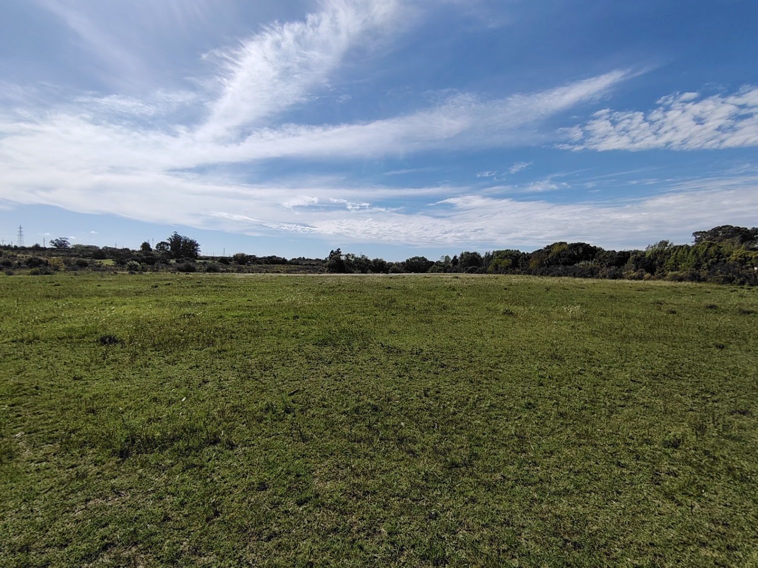 Terreno en alquiler de 60000m2 ubicado en Manga · Foto 9