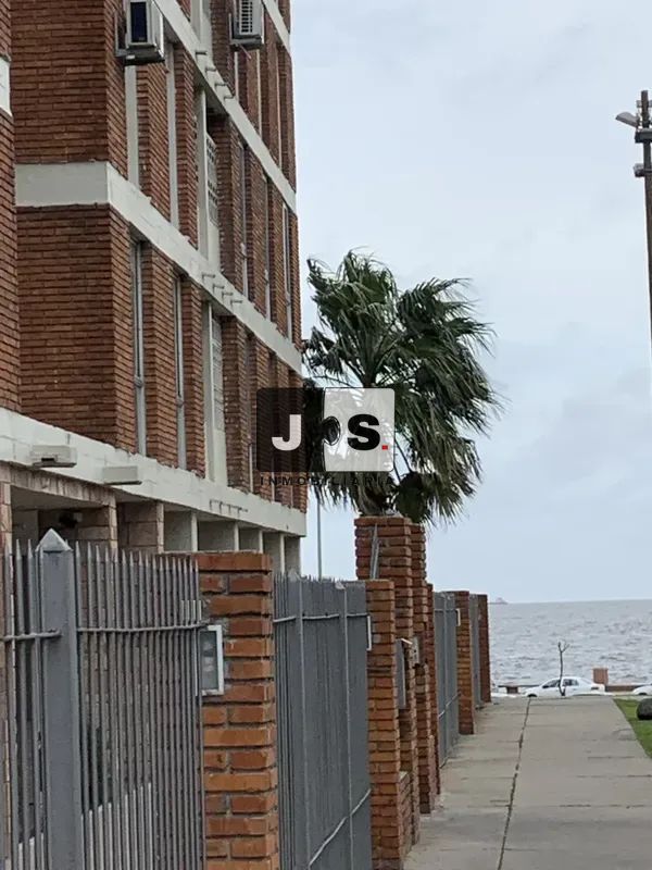 Alquilo apartamento 3 dormitorios en Centro · Foto 2