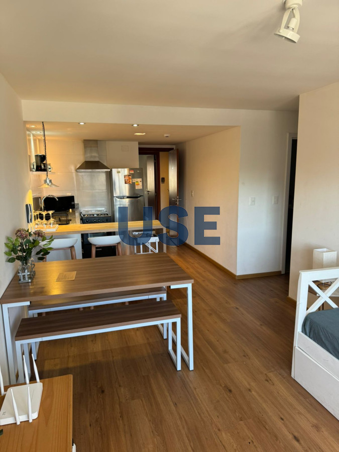 Apartamento de 1 dormitorio con balcon