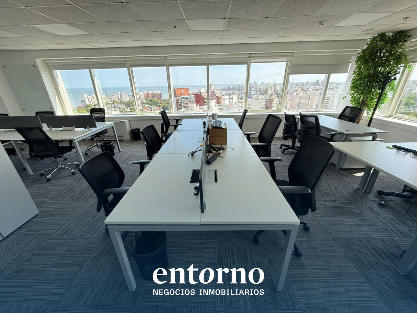 Oficina en Alquiler en World Trade Center T1 - Semipiso