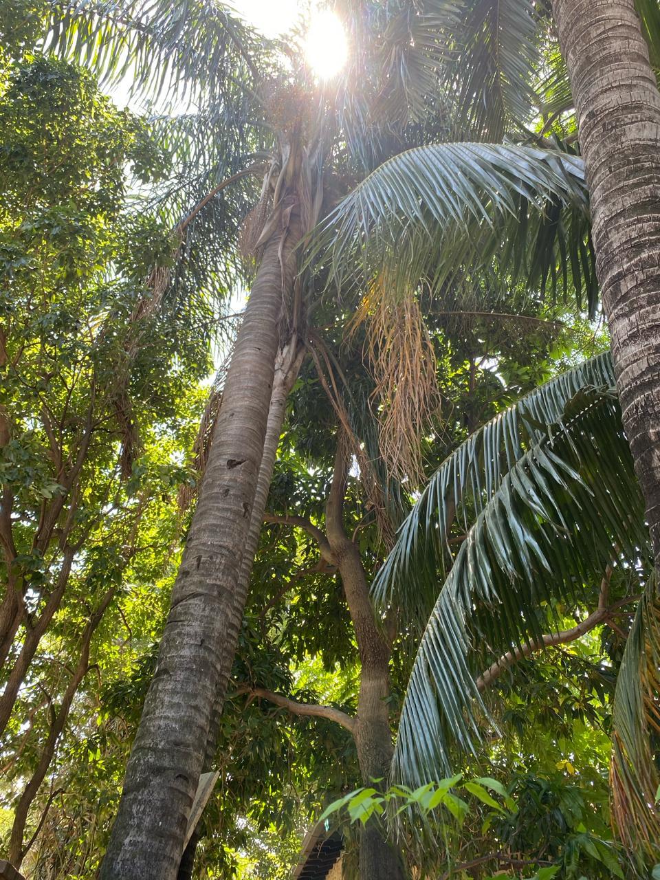 Vendo en Mburucuya, excelente ubicación — foto 3