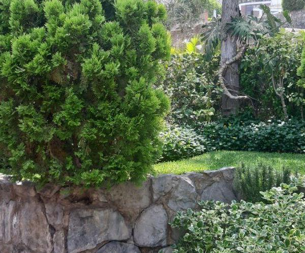 Casa en venta en Santiago de Surco