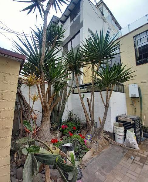 Casa en venta en Santiago de Surco
