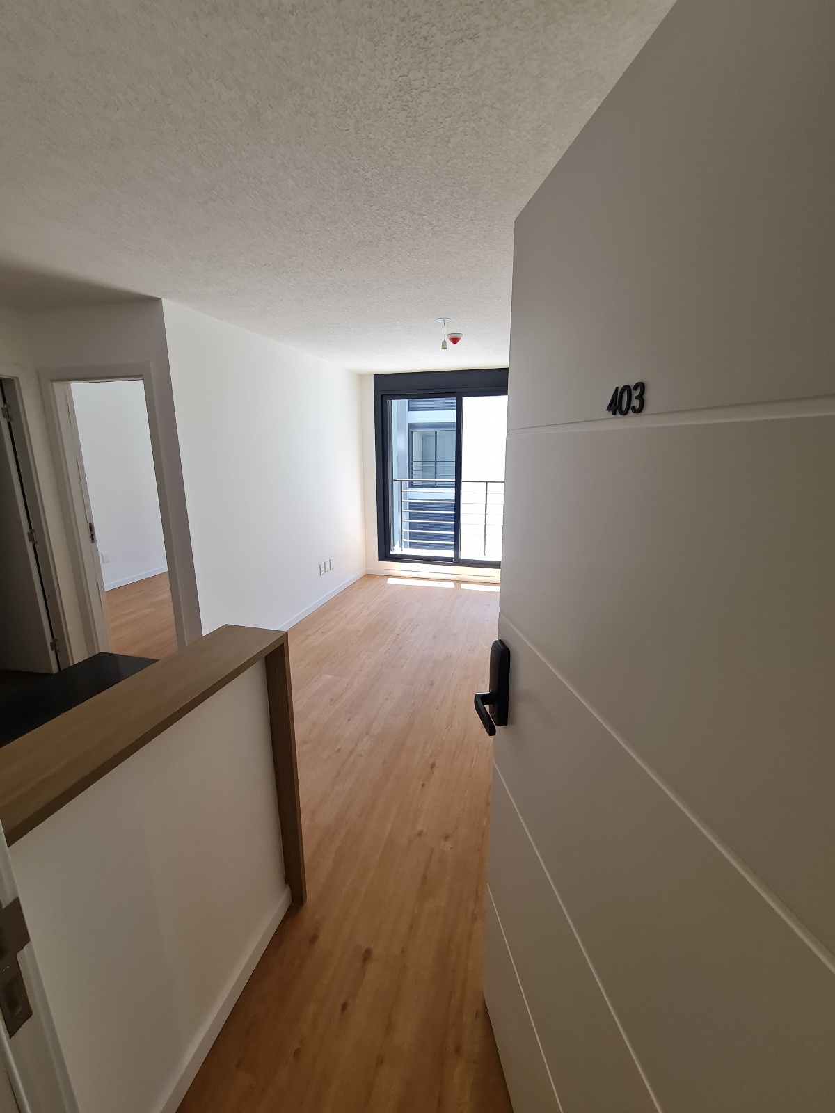 Apartamento en alquiler de 1 dormitorio en La Blanqueada · Foto 5