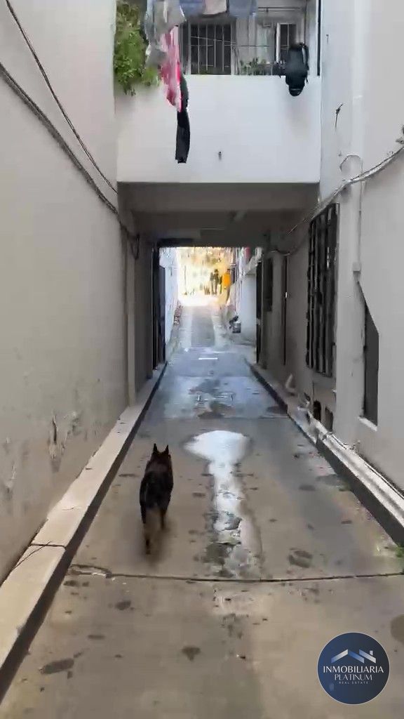 Local Comercial de mas de 1000 m2, en alquiler ubicado en Cordón Norte