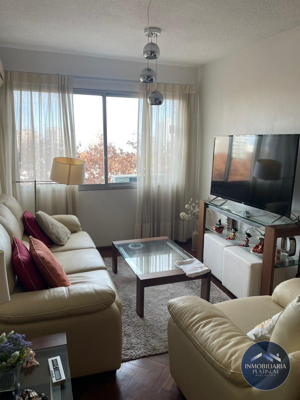 Apartamento amoblado de 2D, Piso 6, en alquiler en Centro (garage opcional) · Foto 1