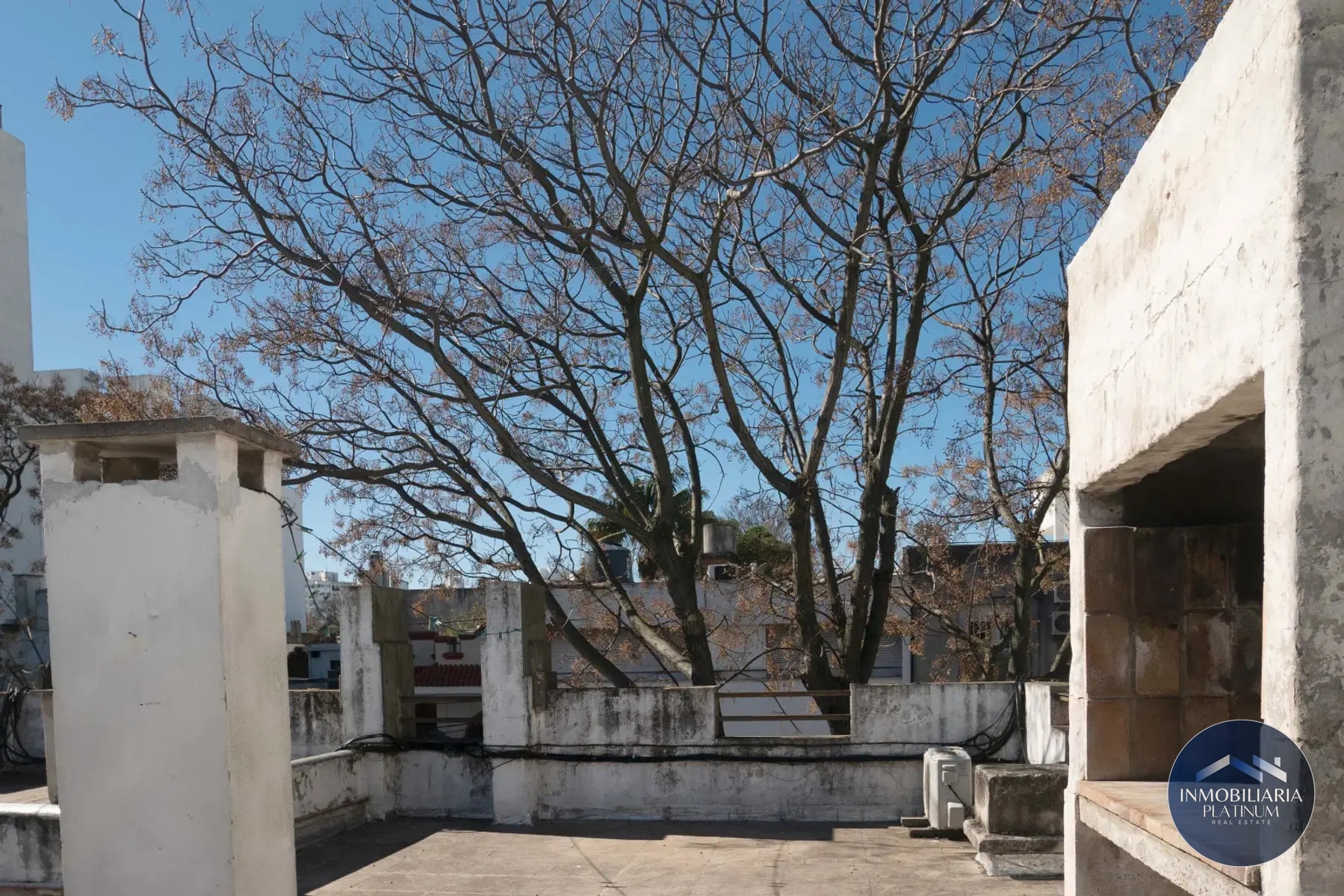 Apartamento en alquiler en Parque Rodó · Foto 5