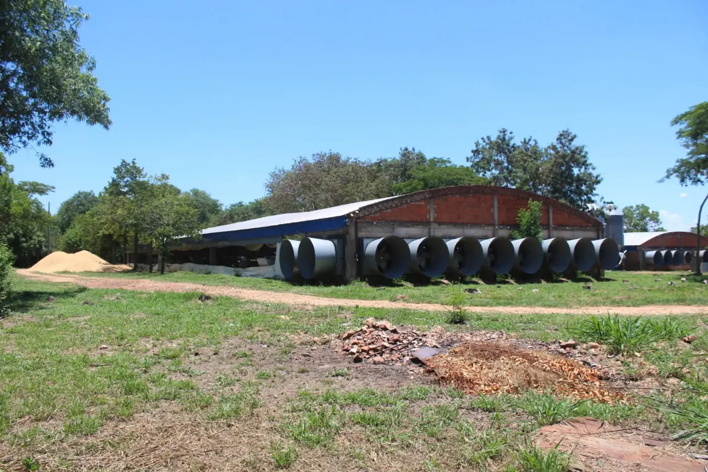 Hermosa Granja Avicola en Villeta con 2 Galpones para producción de carne — foto 3