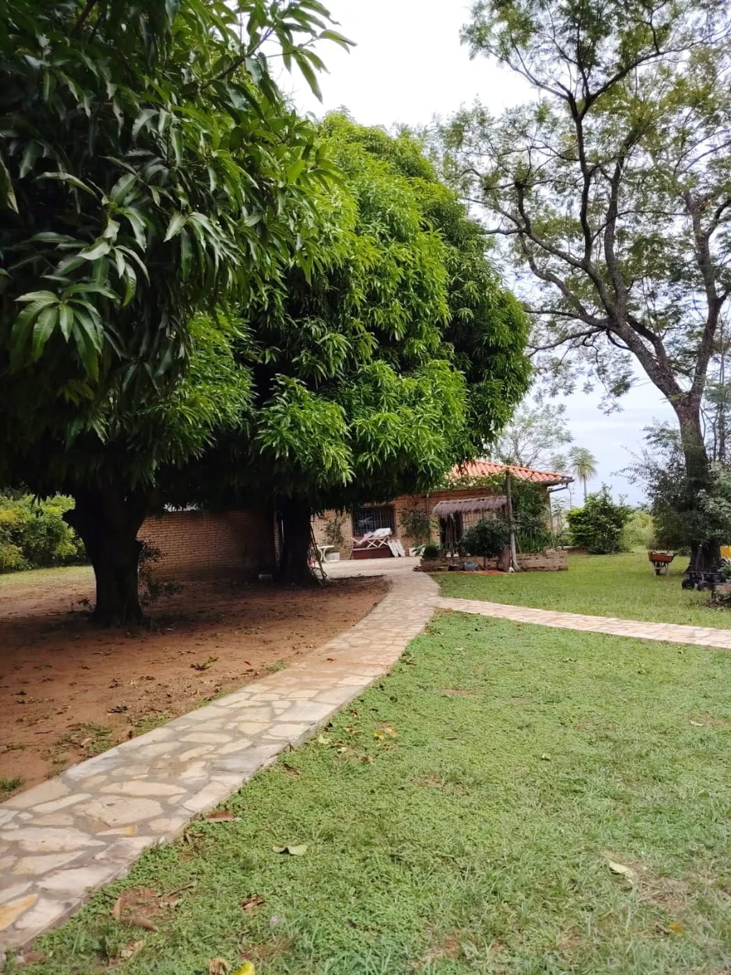 Vendo amplia quinta en Nueva Colombia — foto 3