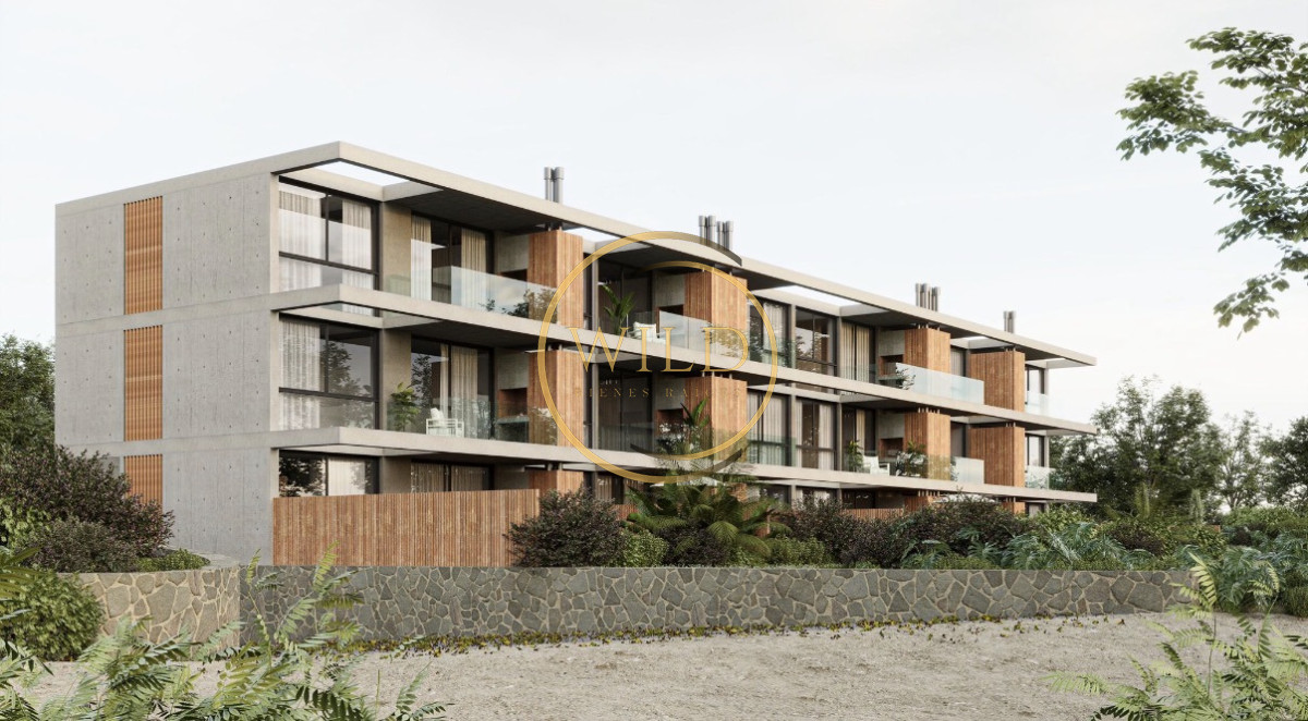Venta mono en Punta Ballena