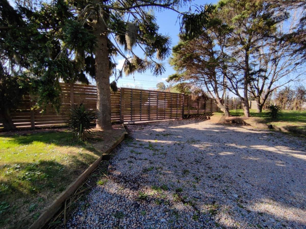 ALQUILER CENTRO LOGÍSTICO / GALPON BARROS BLANCOS 2800m2 CERCA RUTA 8 · Foto 12