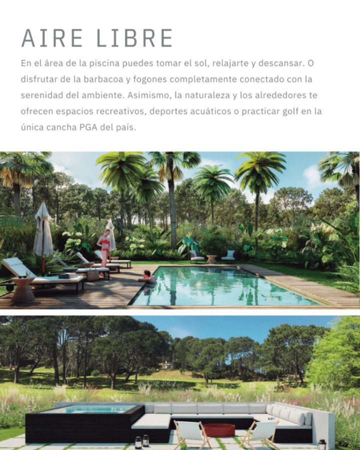 Foto 5 de 8