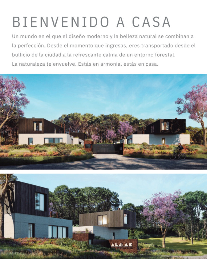 Foto 4 de 8
