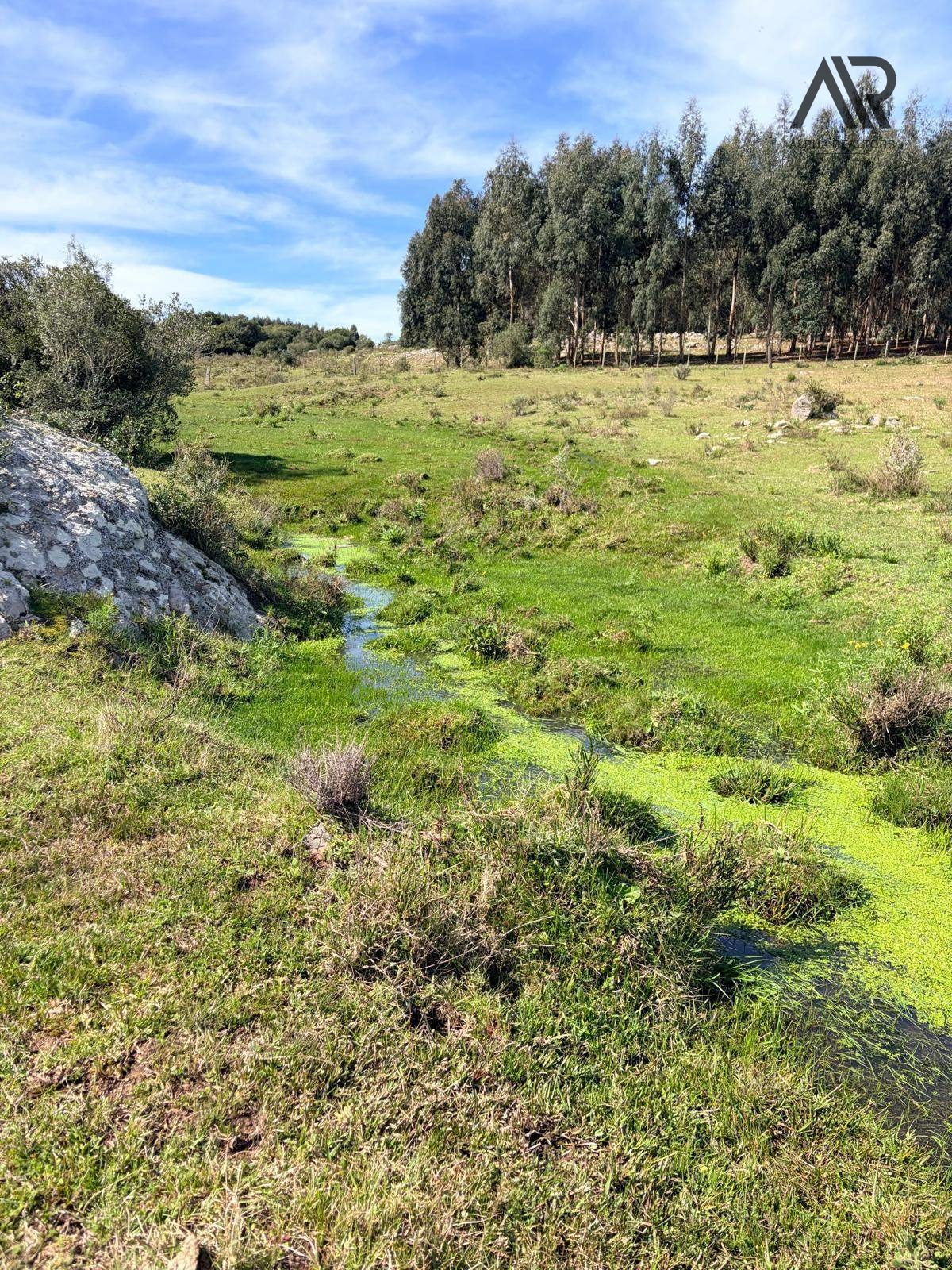 Chacra en alquiler de 100000m2 ubicado en Pan de Azúcar · Photo 1