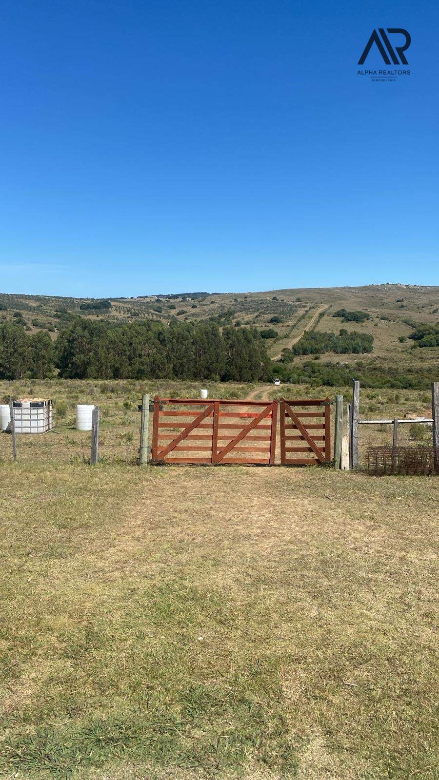 Chacra en alquiler de 100000m2 ubicado en Pan de Azúcar · Photo 2
