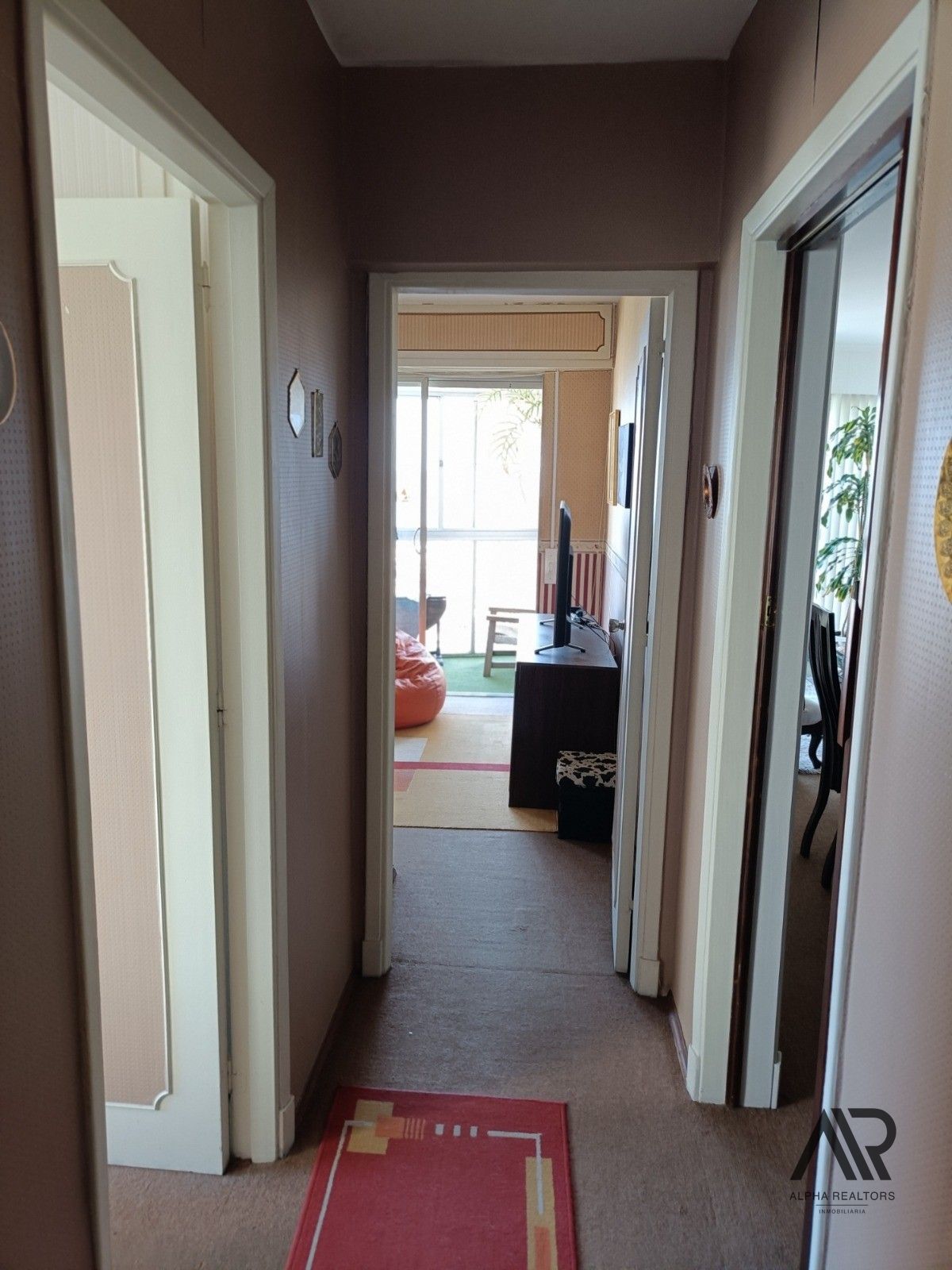 Apartamento en alquiler en Parque Rodó · Foto 11