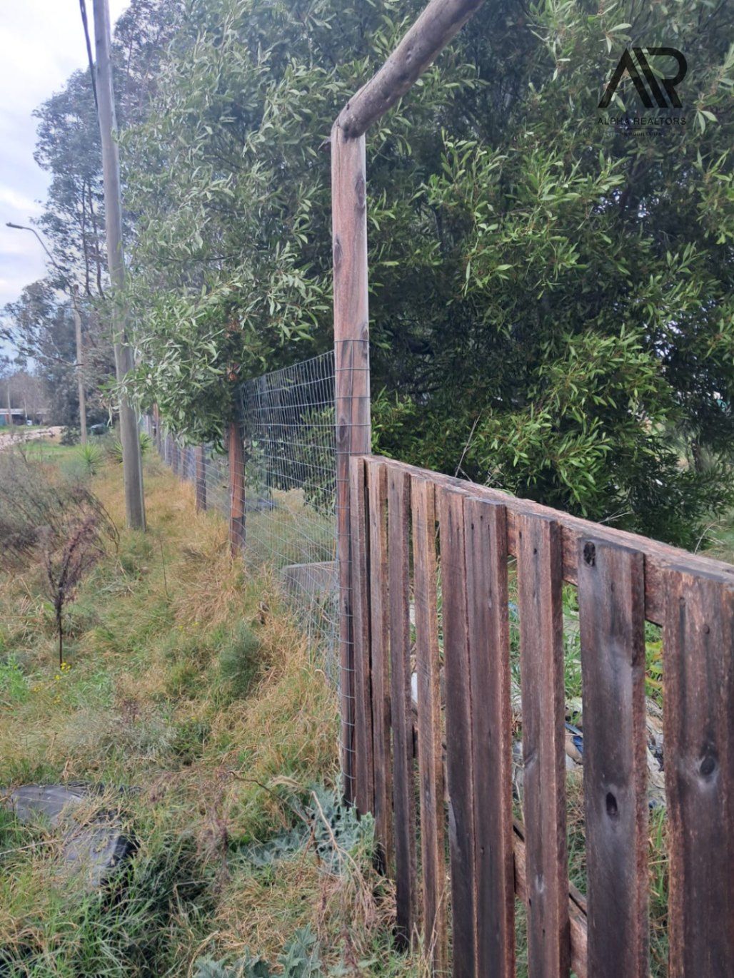 Terreno en venta de 531m2 ubicado en Santa Mónica, San José. - foto 3