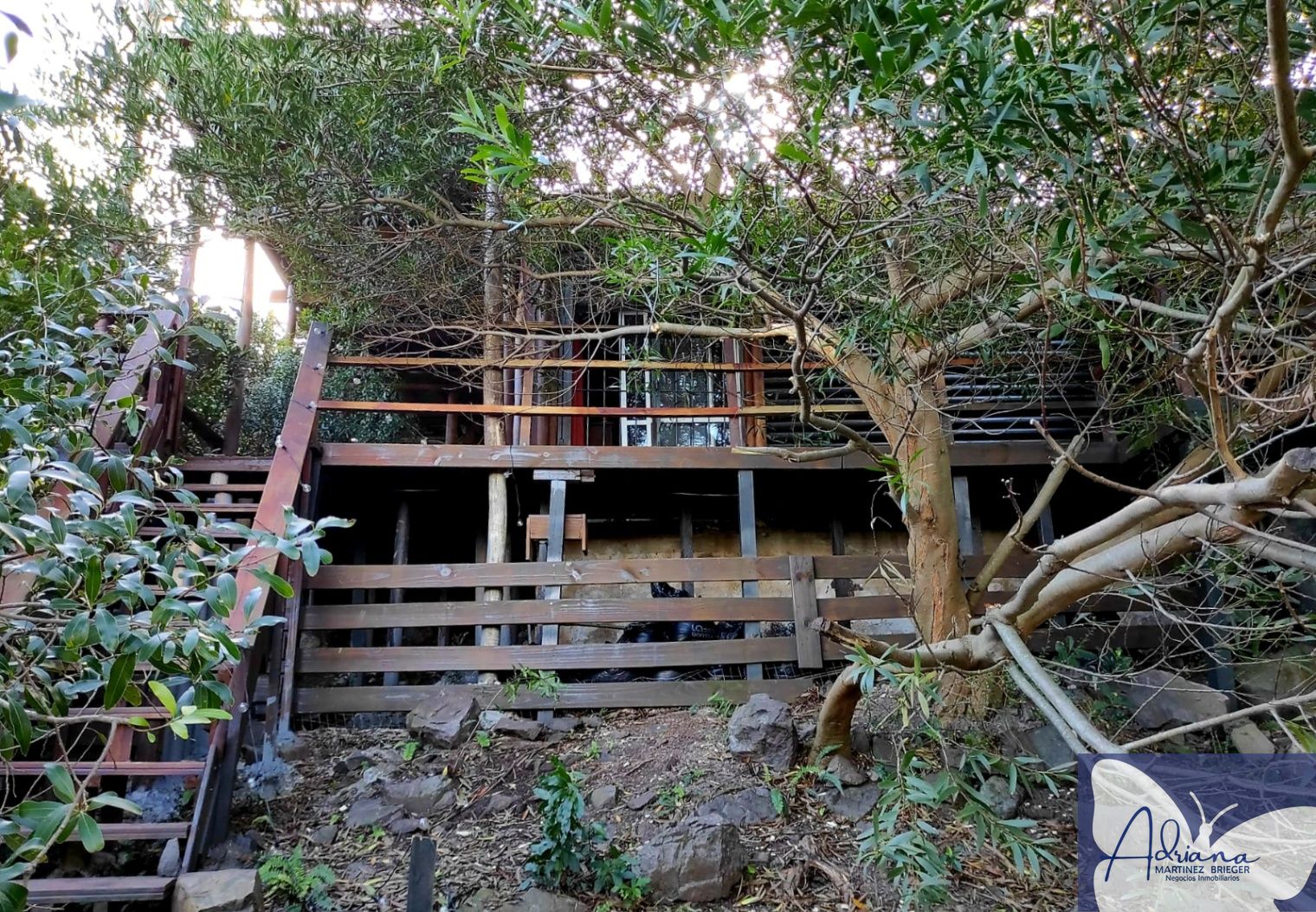 Foto 4 de 30