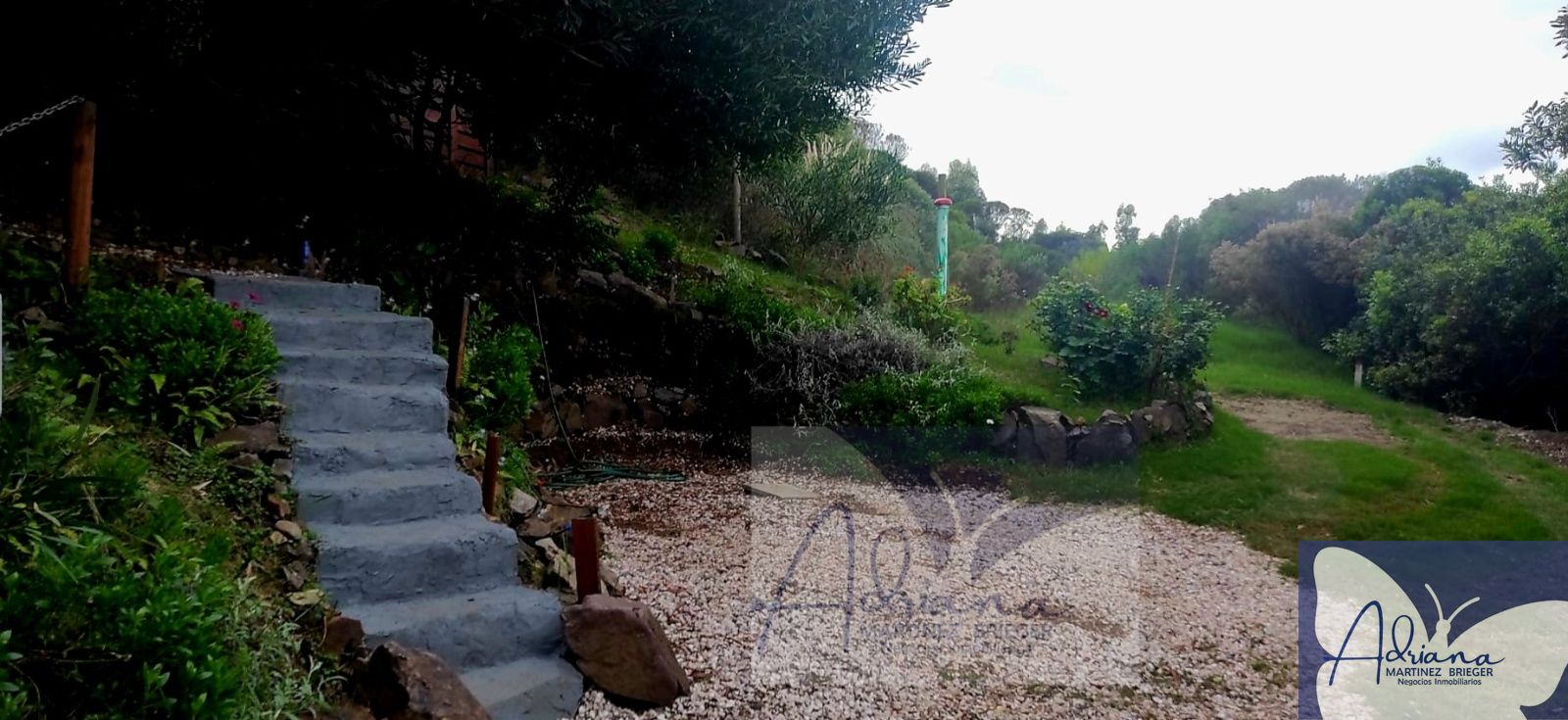 Foto 2 de 30