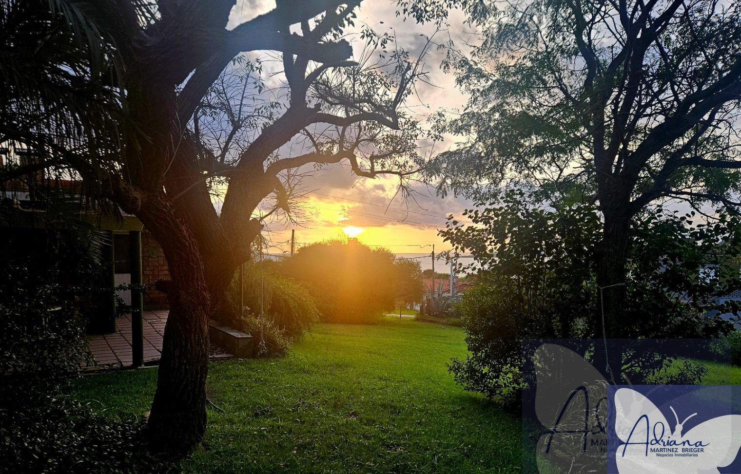 Foto 5 de 29