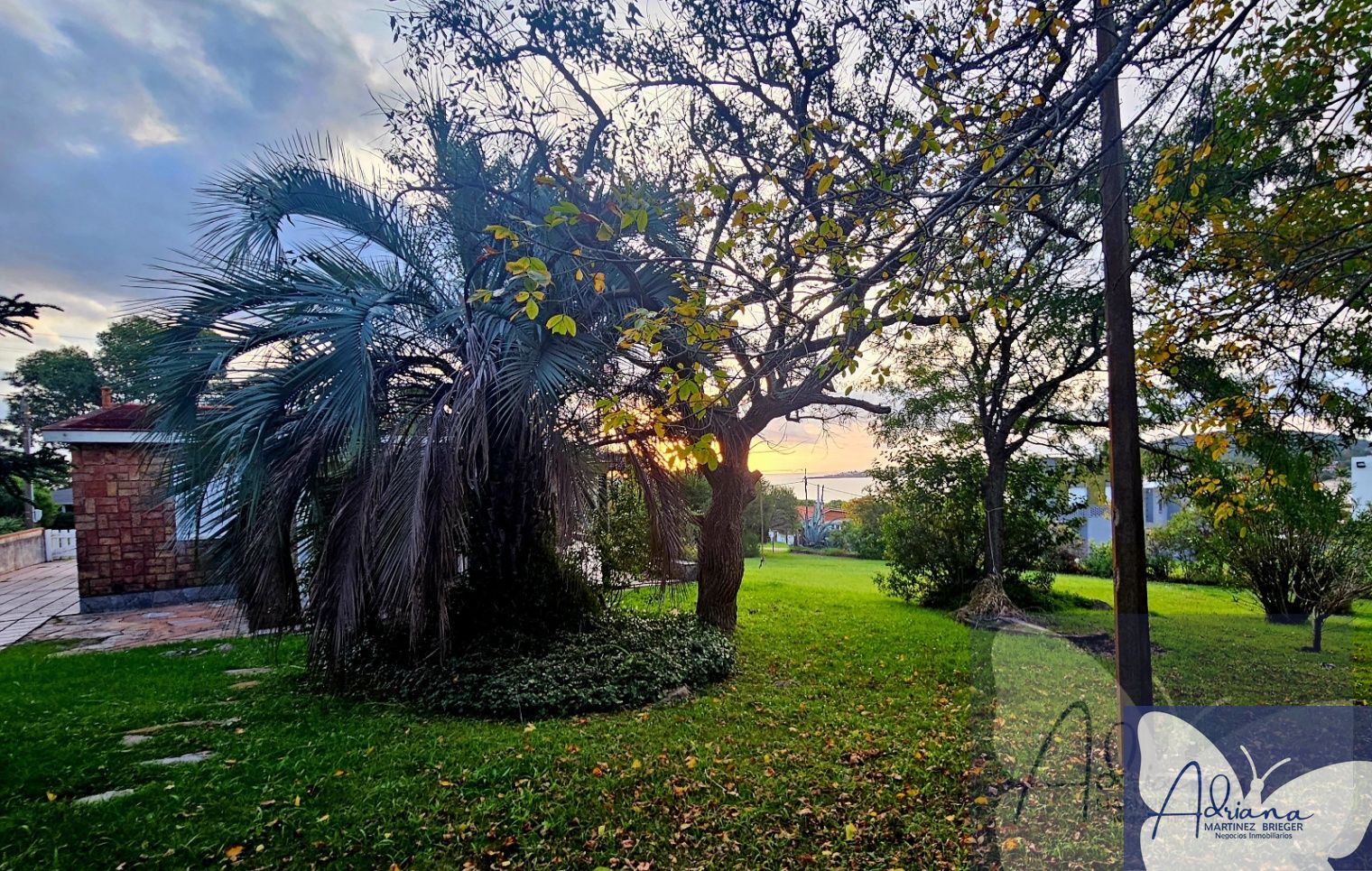 Foto 4 de 29