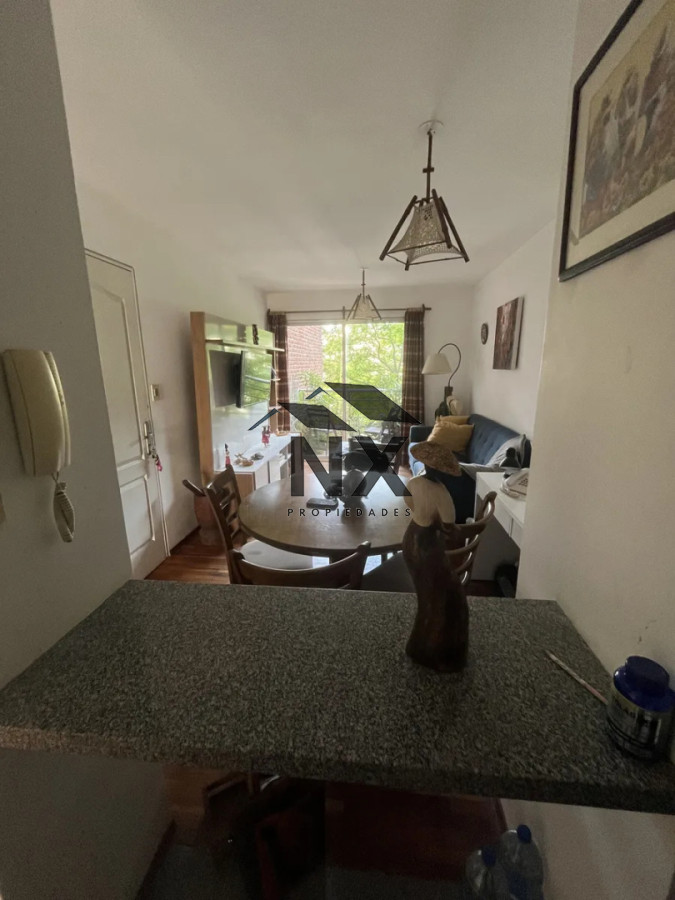 Alquiler Apartamento 1 Dormitorio, Punta Carretas, Balcón, T