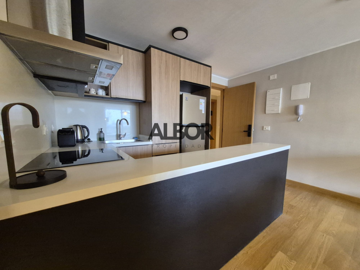 Alquiler apartamento amoblado 2 dormitorios - Deco Maggiolo - Parque Rodo · Foto 6