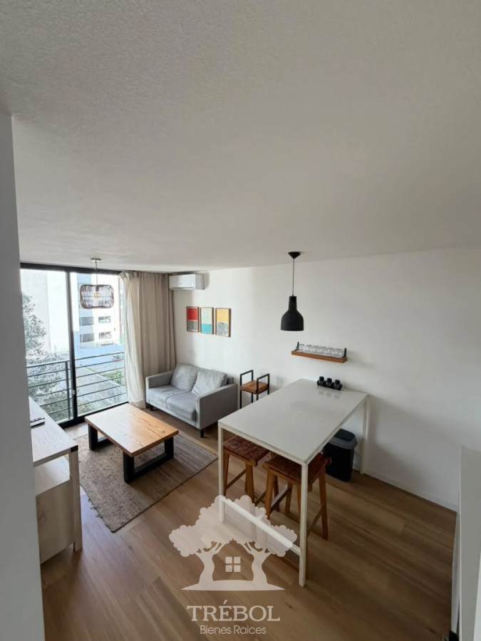 Alquiler Apartamento 1 Dormitorios Puertito Montevideo D