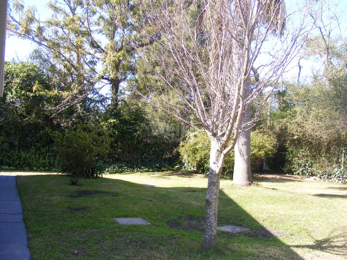 Apartamento Pinar sur · Foto 10