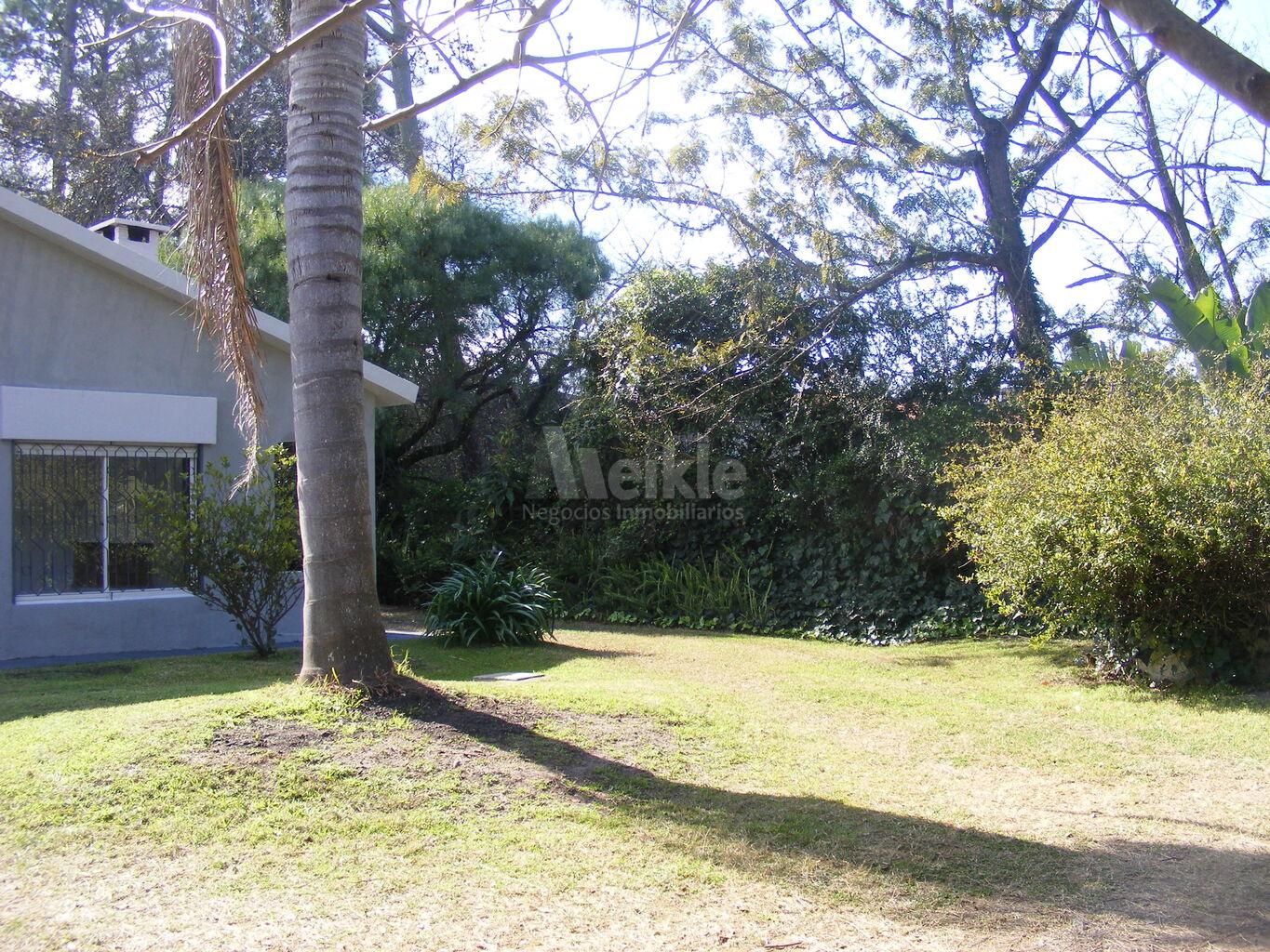 Apartamento Pinar sur