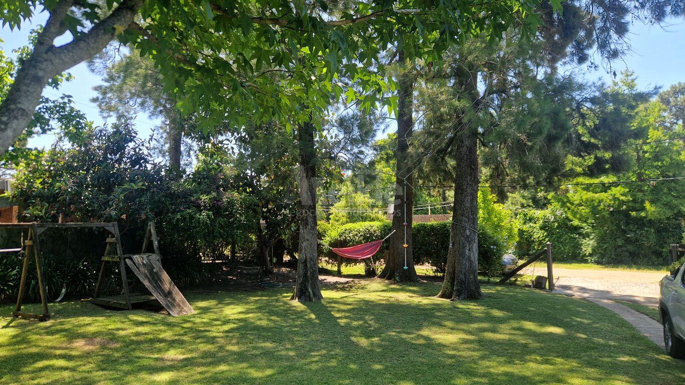 Foto 3 de 22