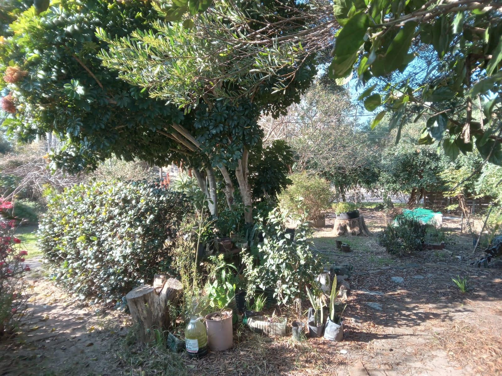 Casa en alquiler 3 dormitorios  en Ciudad de la costa · Foto 12