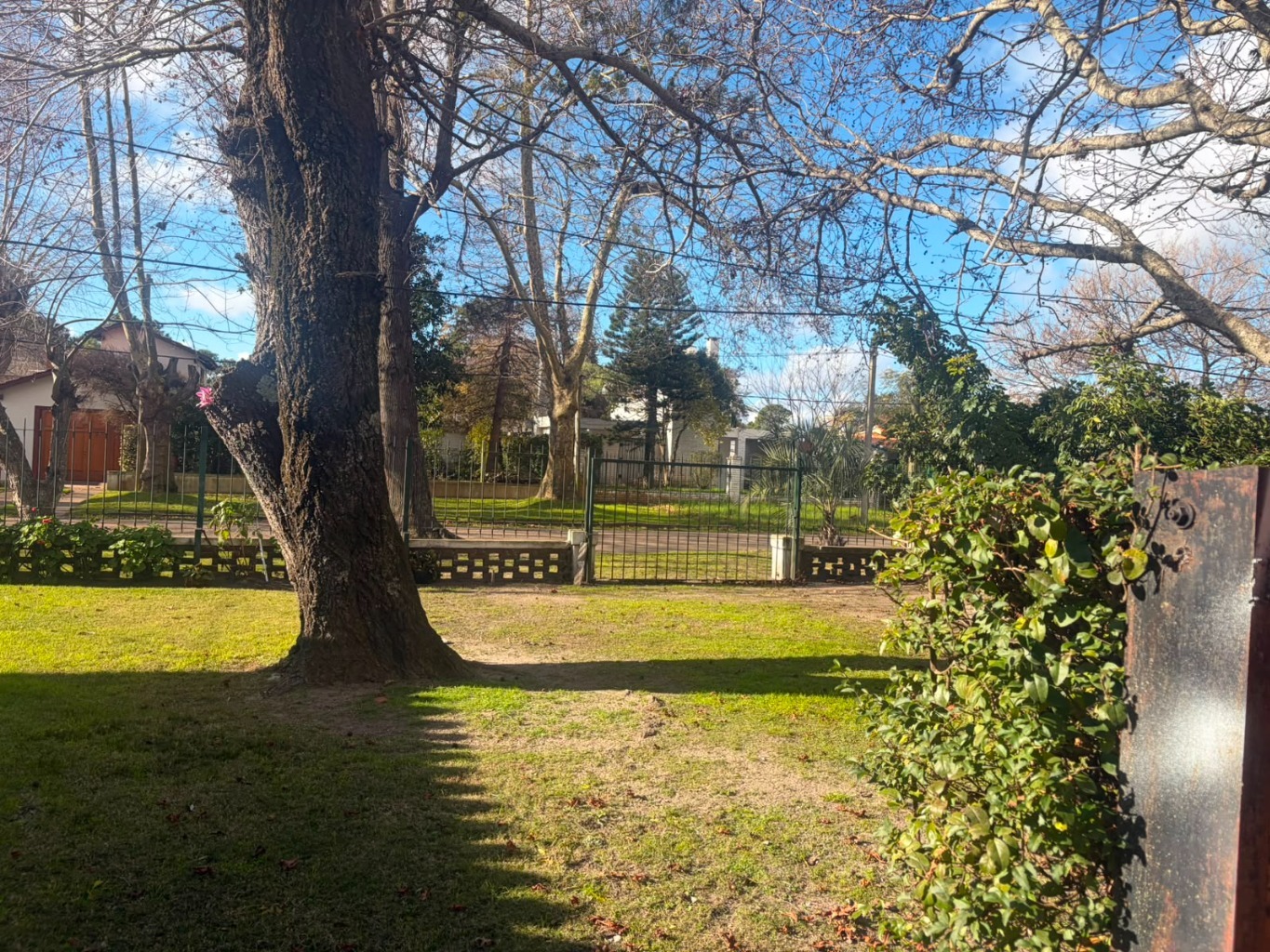 Foto 5 de 15