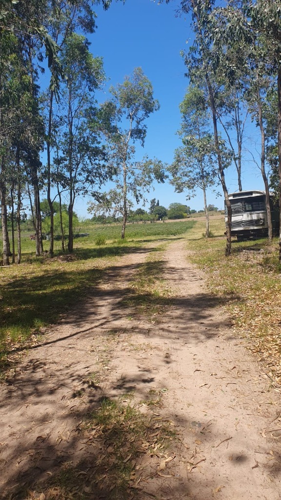 Chacra en Venta Paraje pense a minutos de la ciudad de Mercedes - foto 4