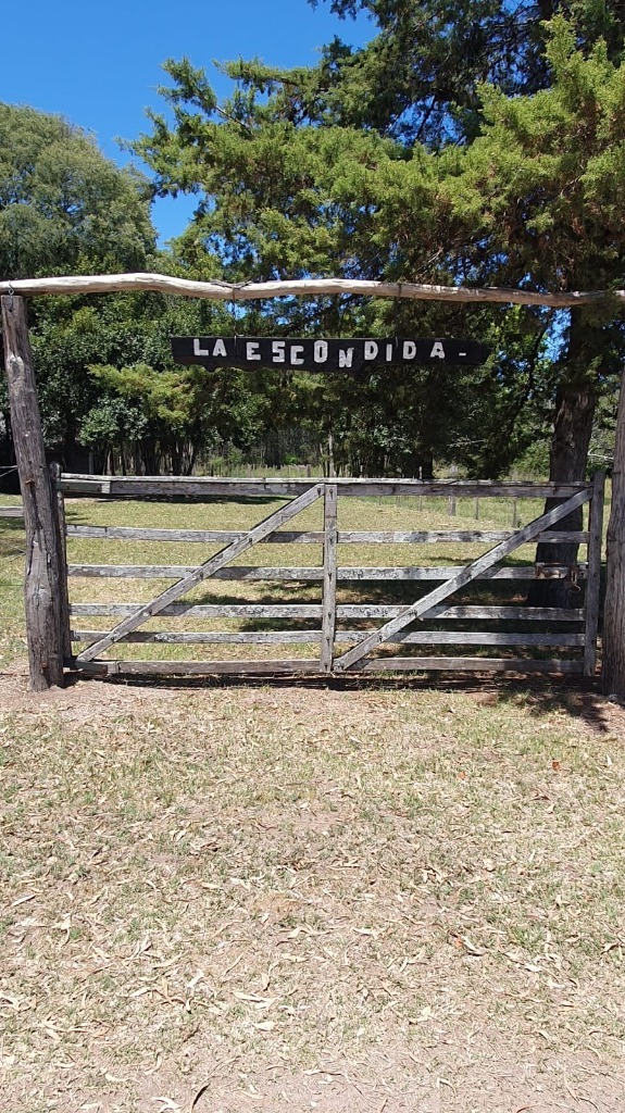 Chacra en Venta Paraje pense a minutos de la ciudad de Mercedes - foto 2