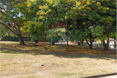 Terreno-venta-py Central Luque — foto 3