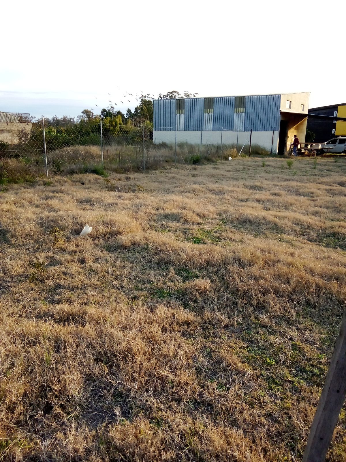 Salto.Gran terreno en esquina - foto 4