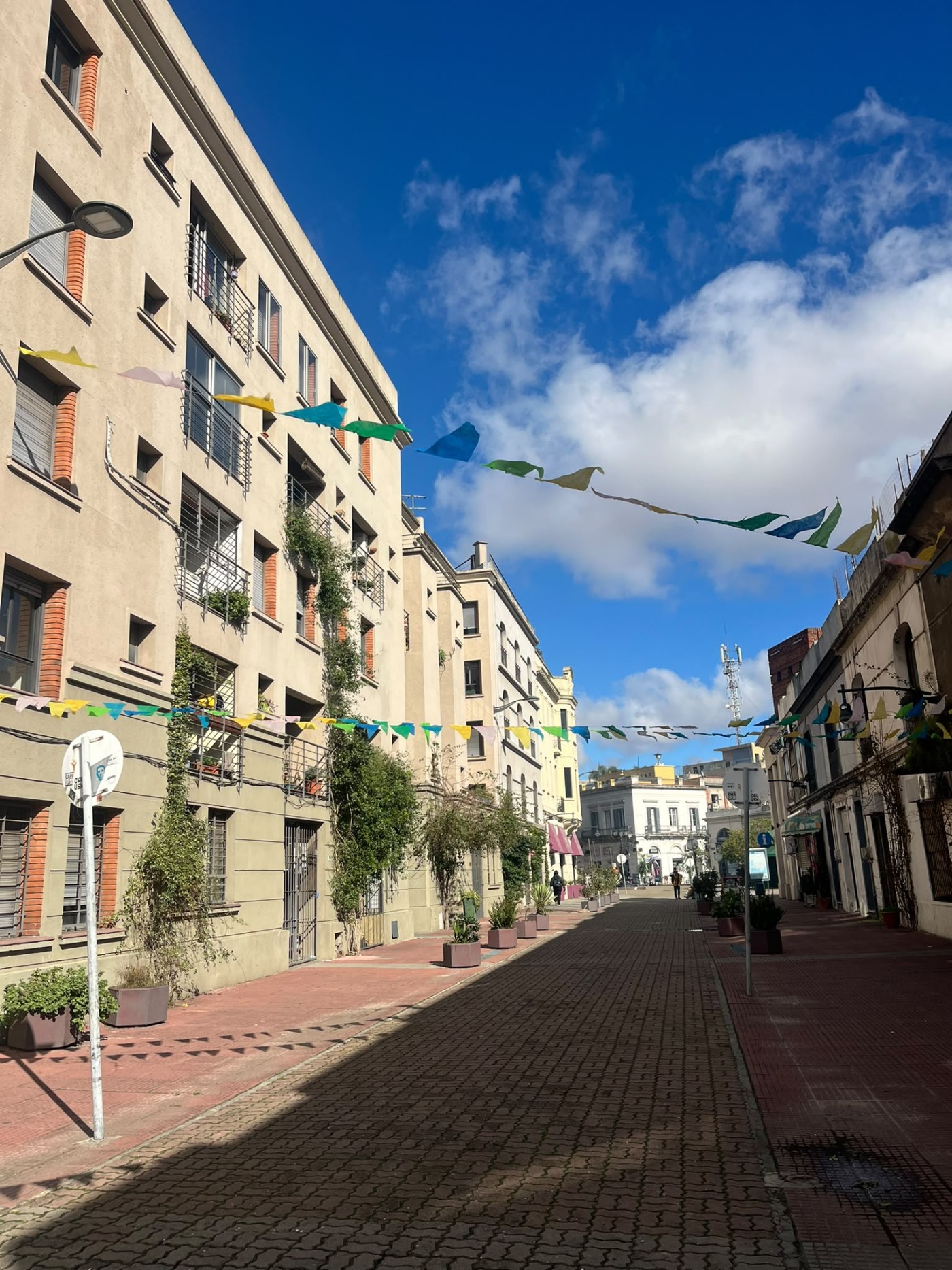 CIUDAD VIEJA - LOCAL EN ALQUILER.