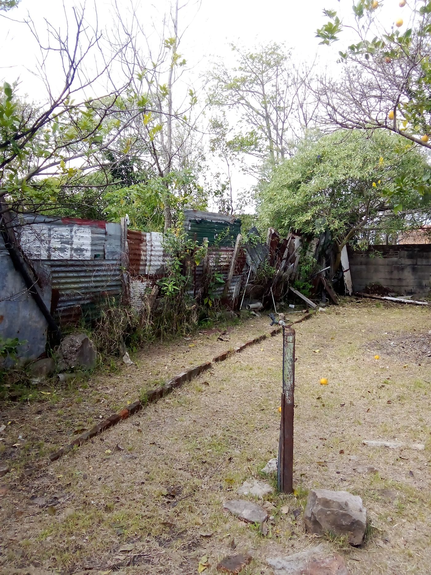 Foto 5 de 15