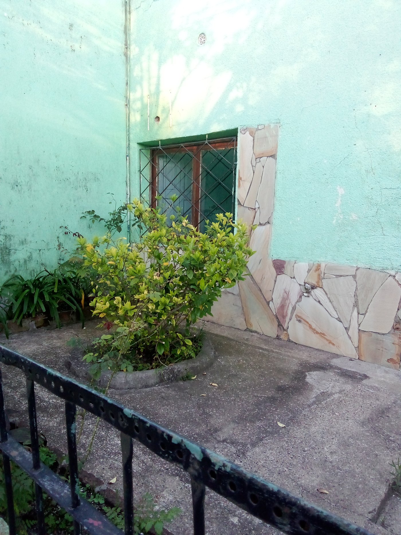Foto 2 de 15