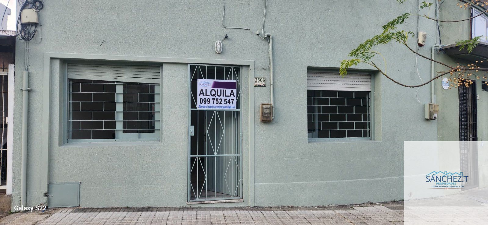 Casa en alquiler en Buceo