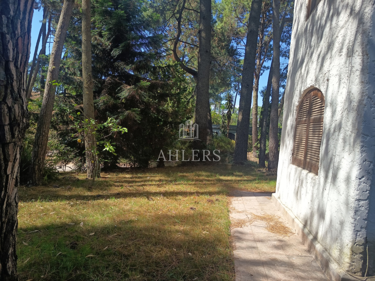 Se alquila y se vende casa de 3 dormitorios, dos baños, cocina amplia · Foto 6