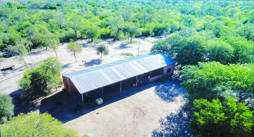 Campo en venta en Mariscal José Félix Estigarribia — foto 2