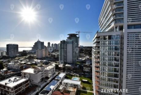 Apartamento En Alquiler 1 Dormitorio