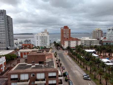 Apartamento En Alquiler 3 Dormitorios